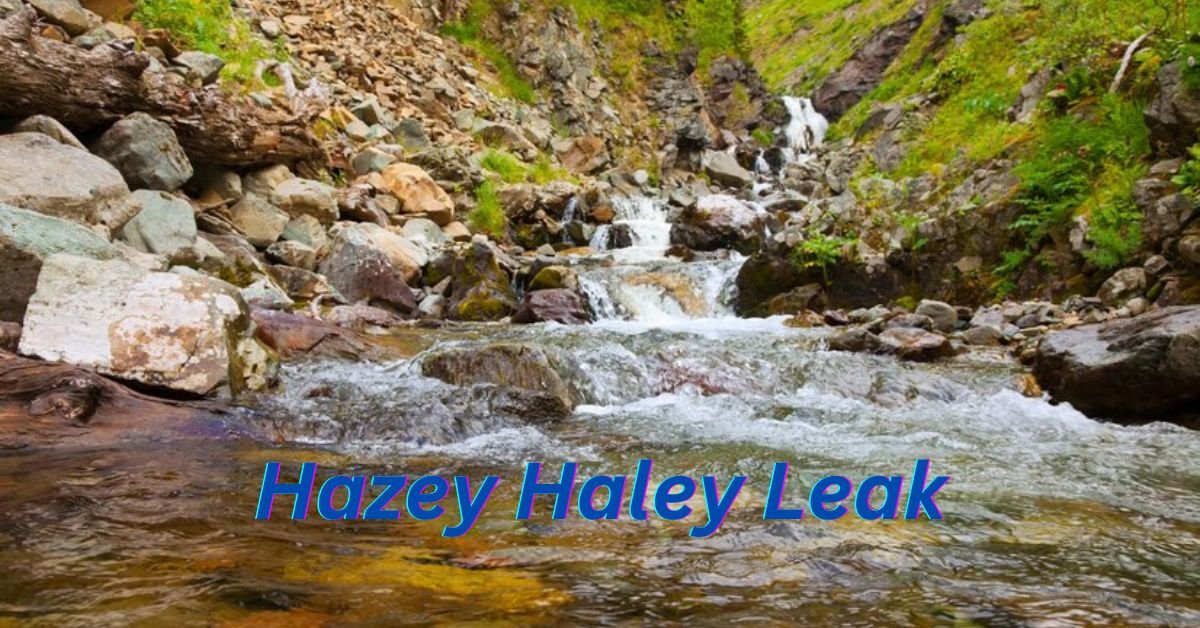 Unveiling the Hazey Haley Leak A Deep Dive into the Controversy