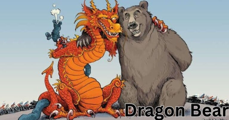 dragon bear