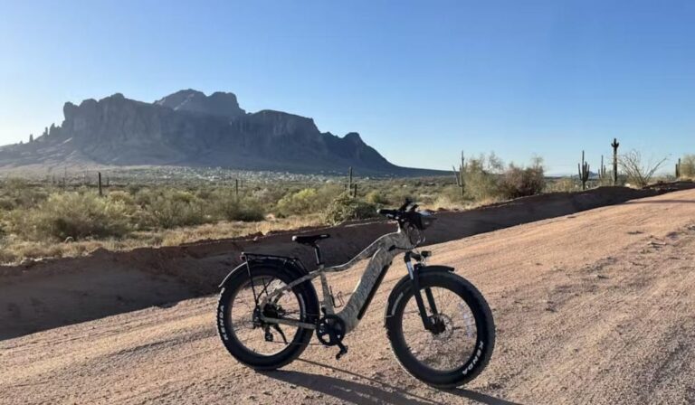 Fat Tire Electric Bike