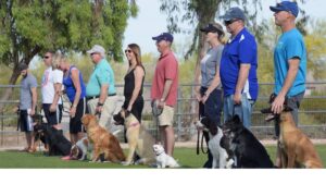 Dog Watch a Class