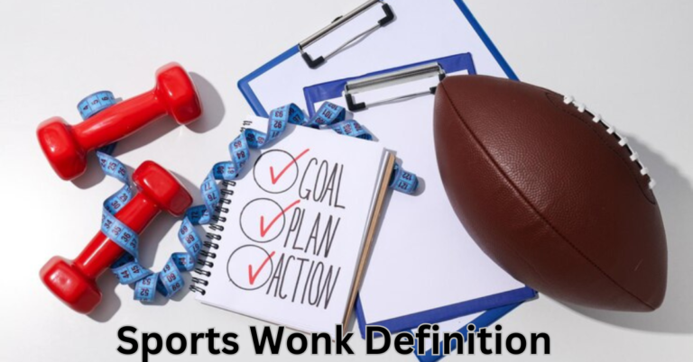 sports wonk definition