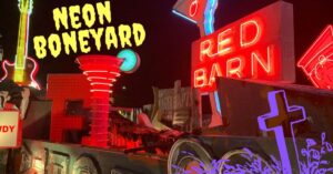 Neon Boneyard