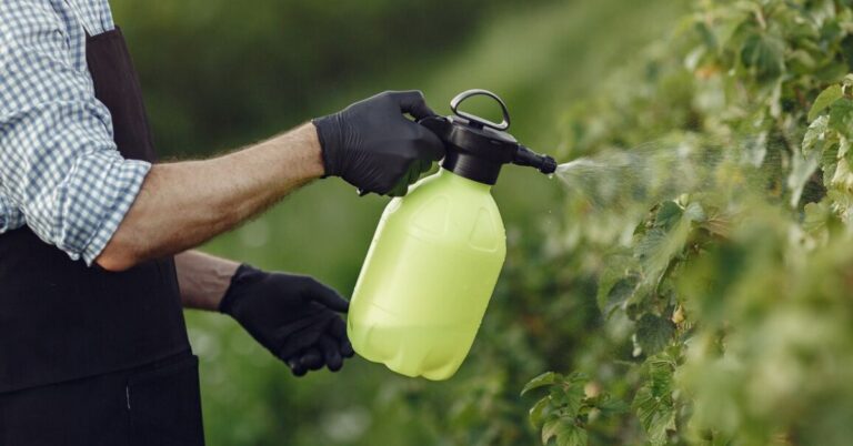 Pest Management