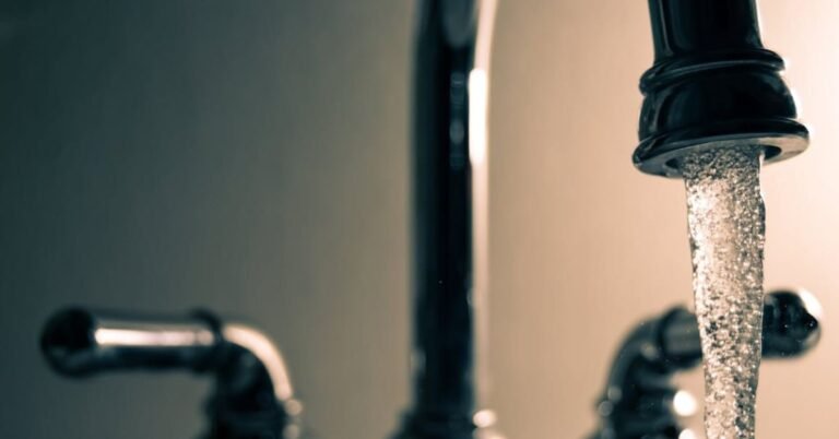 Plumbing Inspection