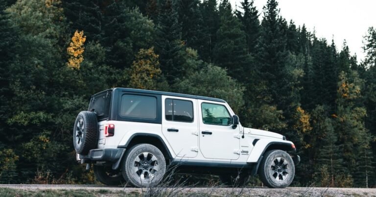 Leveling Kits vs. Full Lift Kits