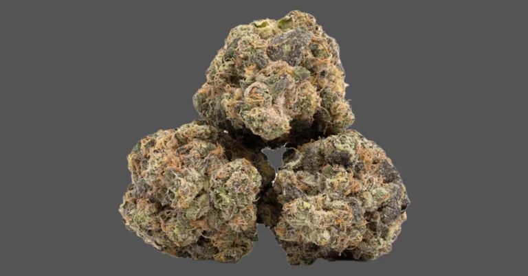 lemon cherry gelato strain