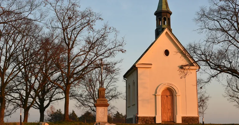 providence catholic illinois