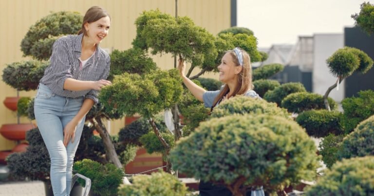 Top 10 Landscaping Companies in Denver